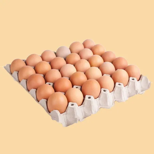 EGG FLATS