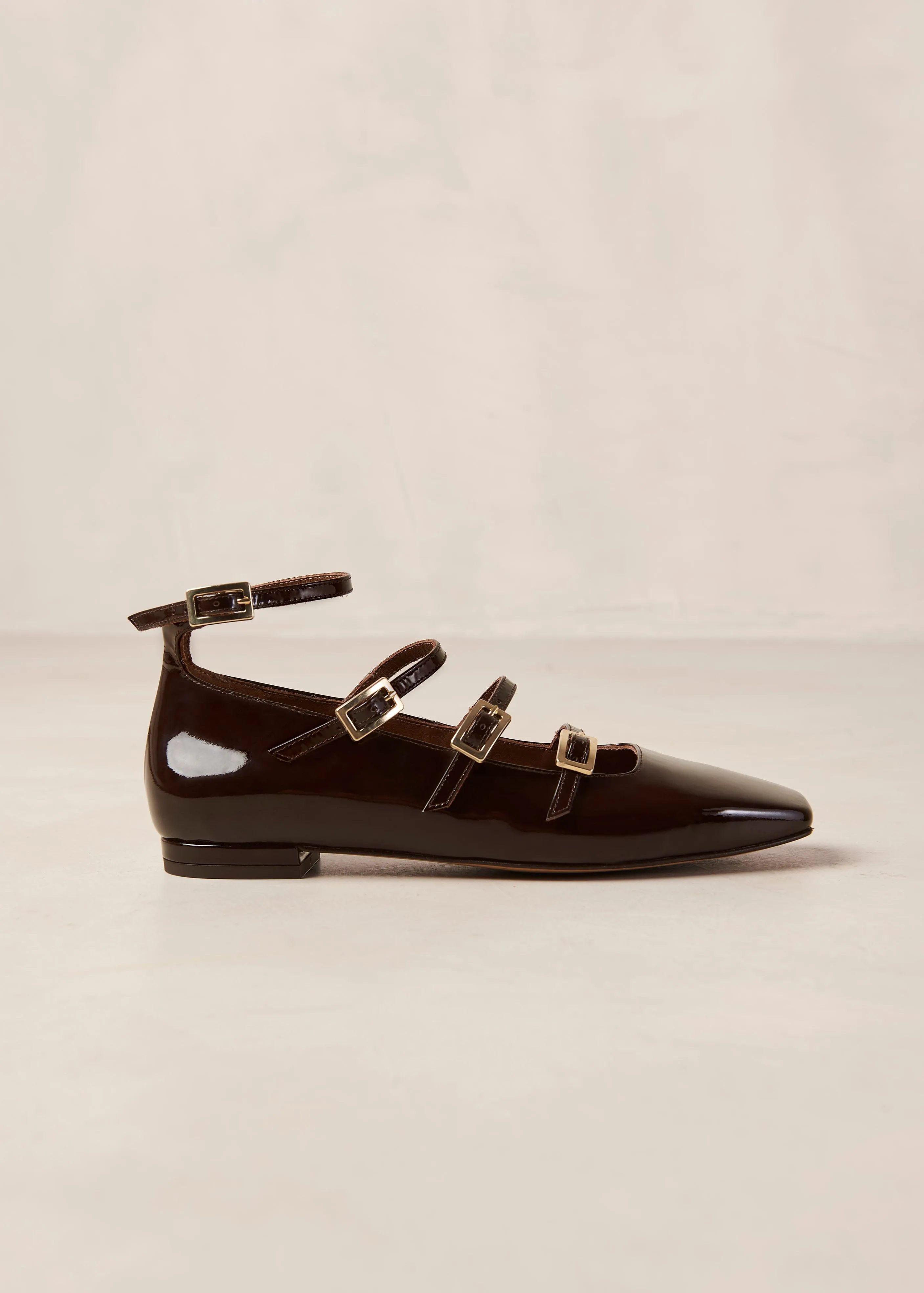 Luke Onix Coffee Brown Leather Ballet Flats