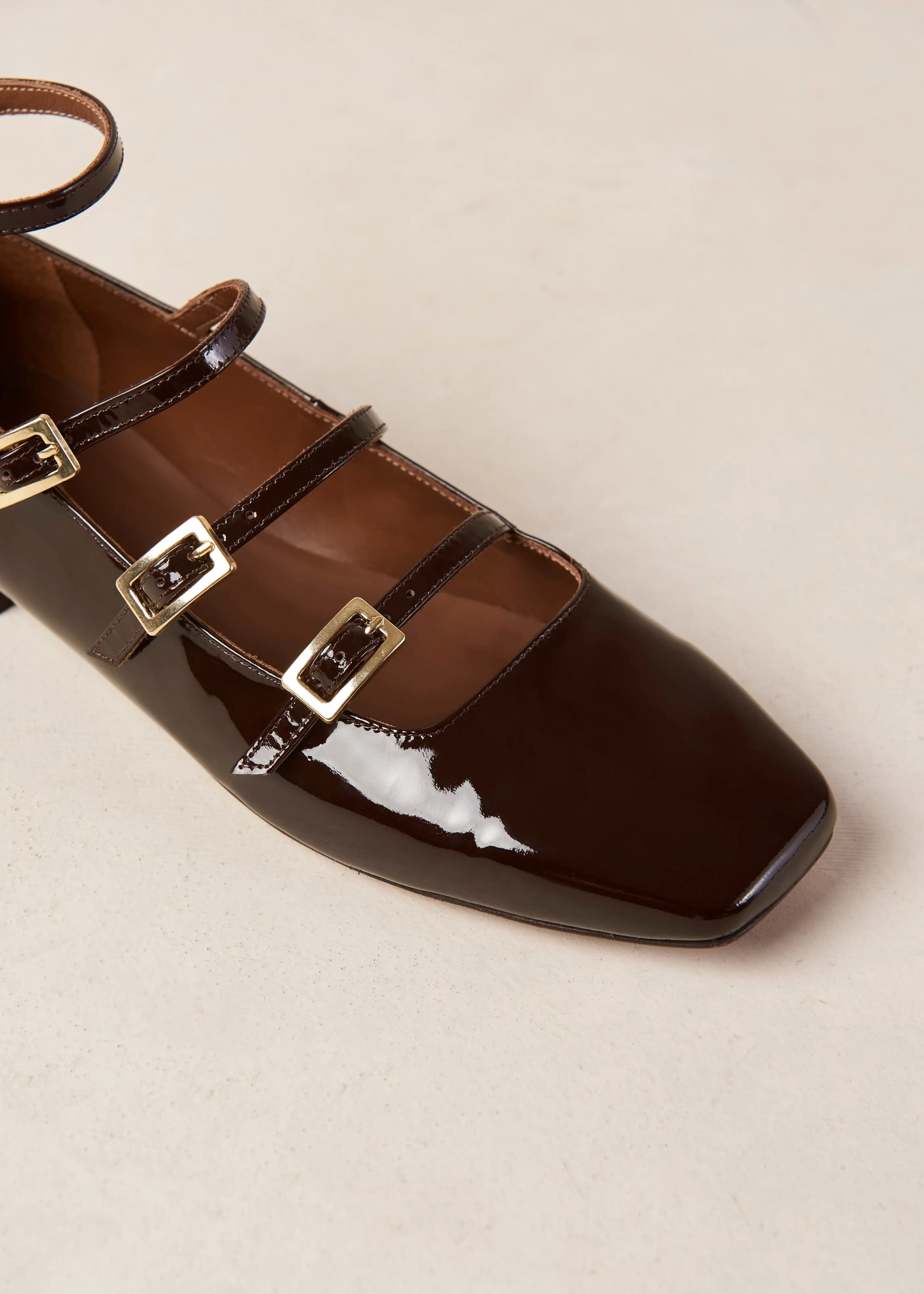 Luke Onix Coffee Brown Leather Ballet Flats