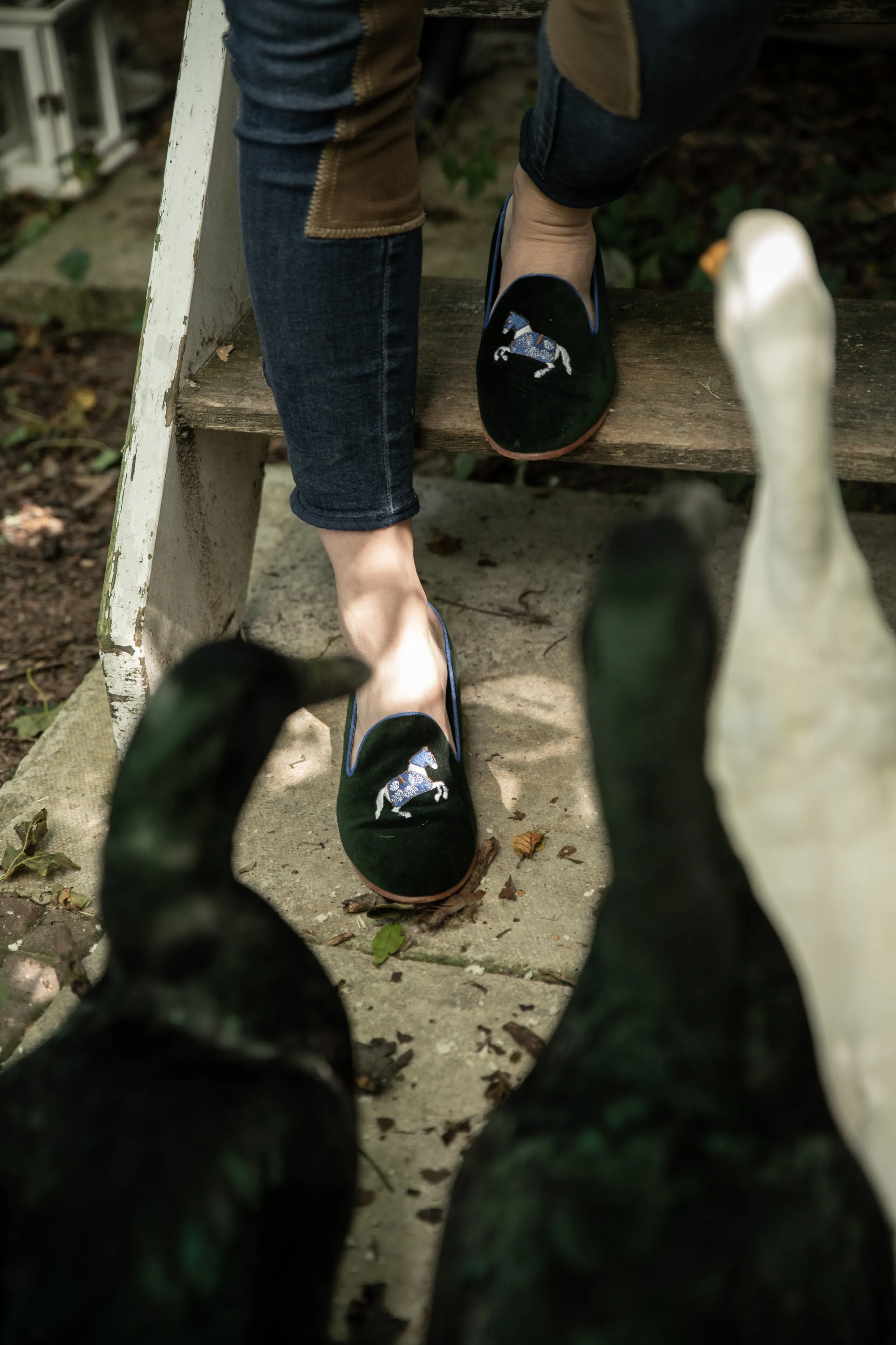 Rönner Mimosa Horse Black & Gold Velvet Loafer