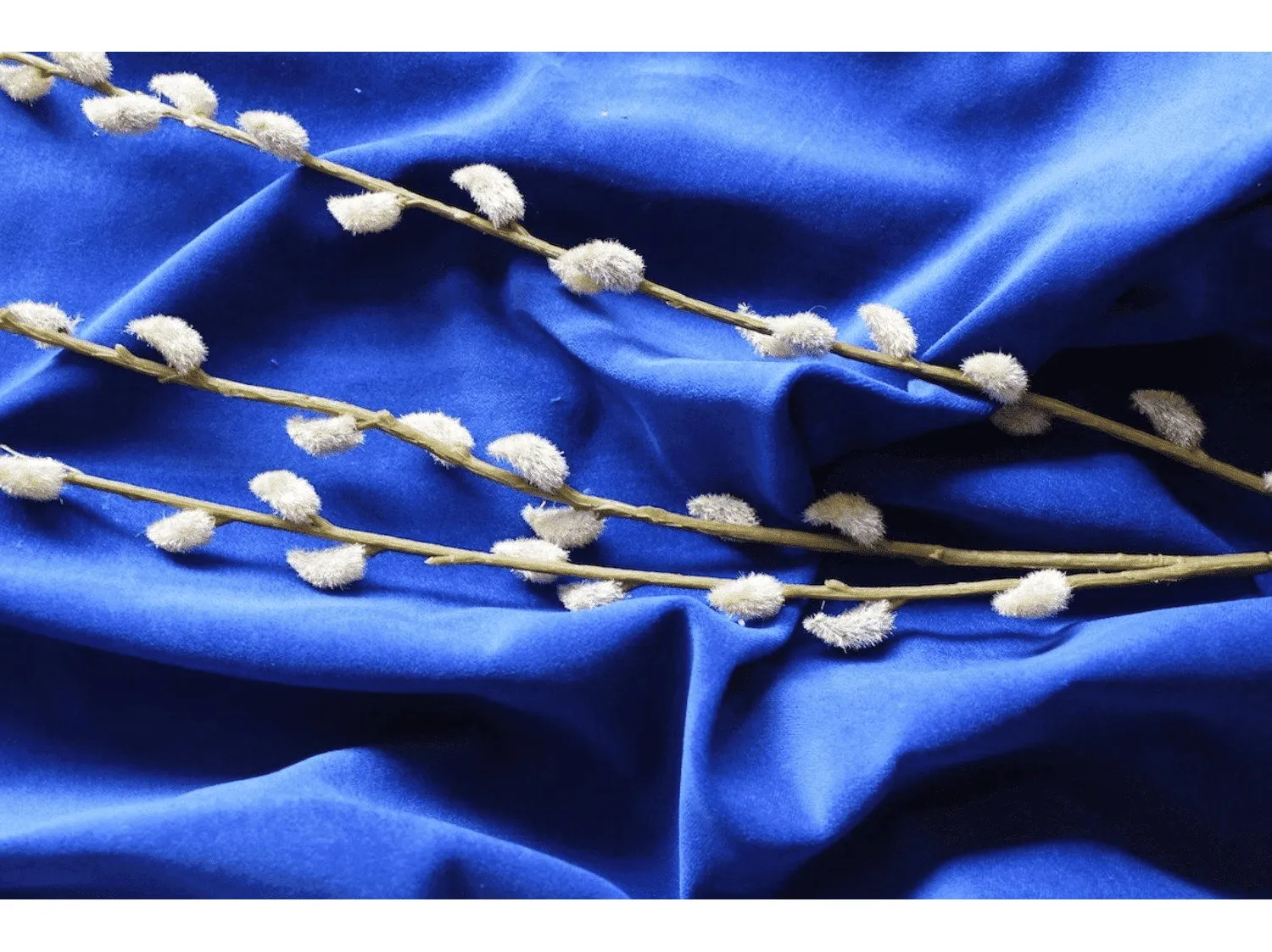 ROYAL BLUE - Cotton Dressmaking Velvet / Velveteen - Lightweight