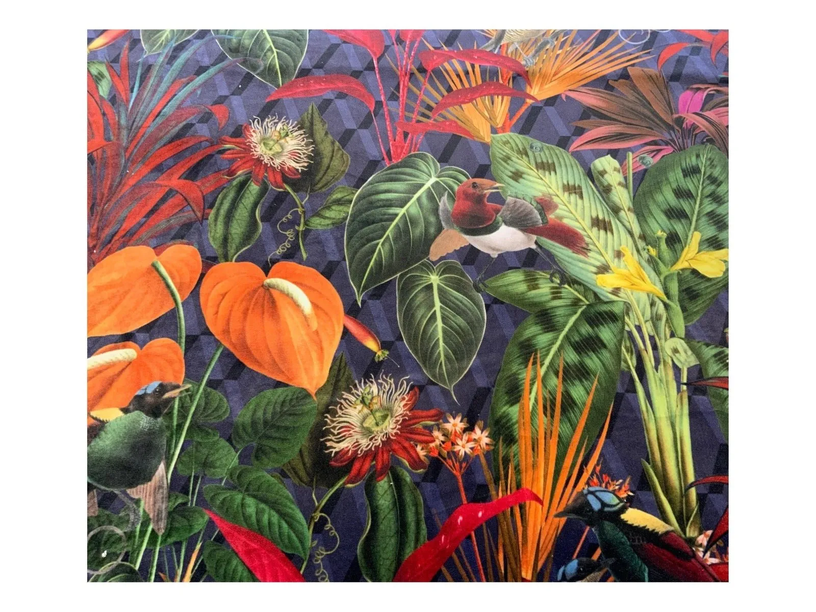 TROPICAL DREAM Pattern Upholstery / Furnishing  velvet - 140  cms - 330 gsm